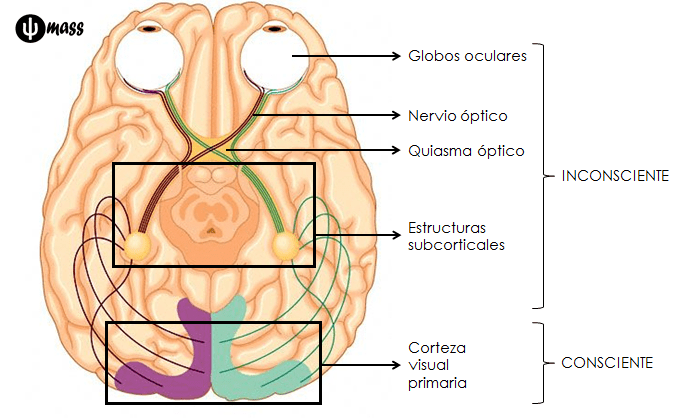 Procesamiento Visual