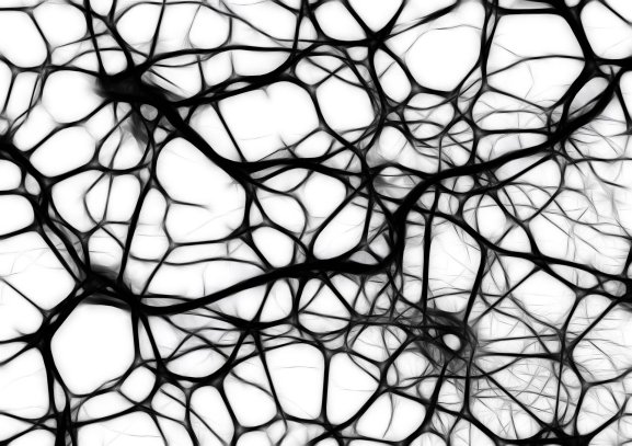 neurociencia-psicologia-hemisferio-neurona